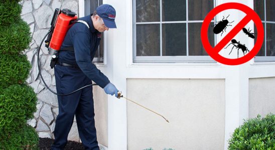 Çamaş Böcek İlaçlama böcek ilaçlama ve haşere kontrolü — ilaclama-tr.com